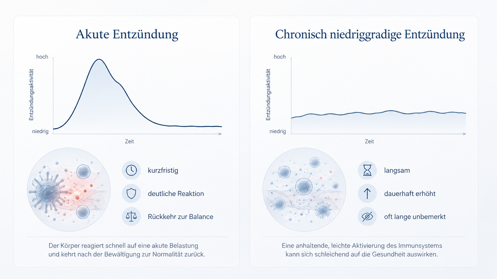 Vergleich der Entzündungsaktivität bei einer akuten und einer chronisch niedriggradigen Entzündung