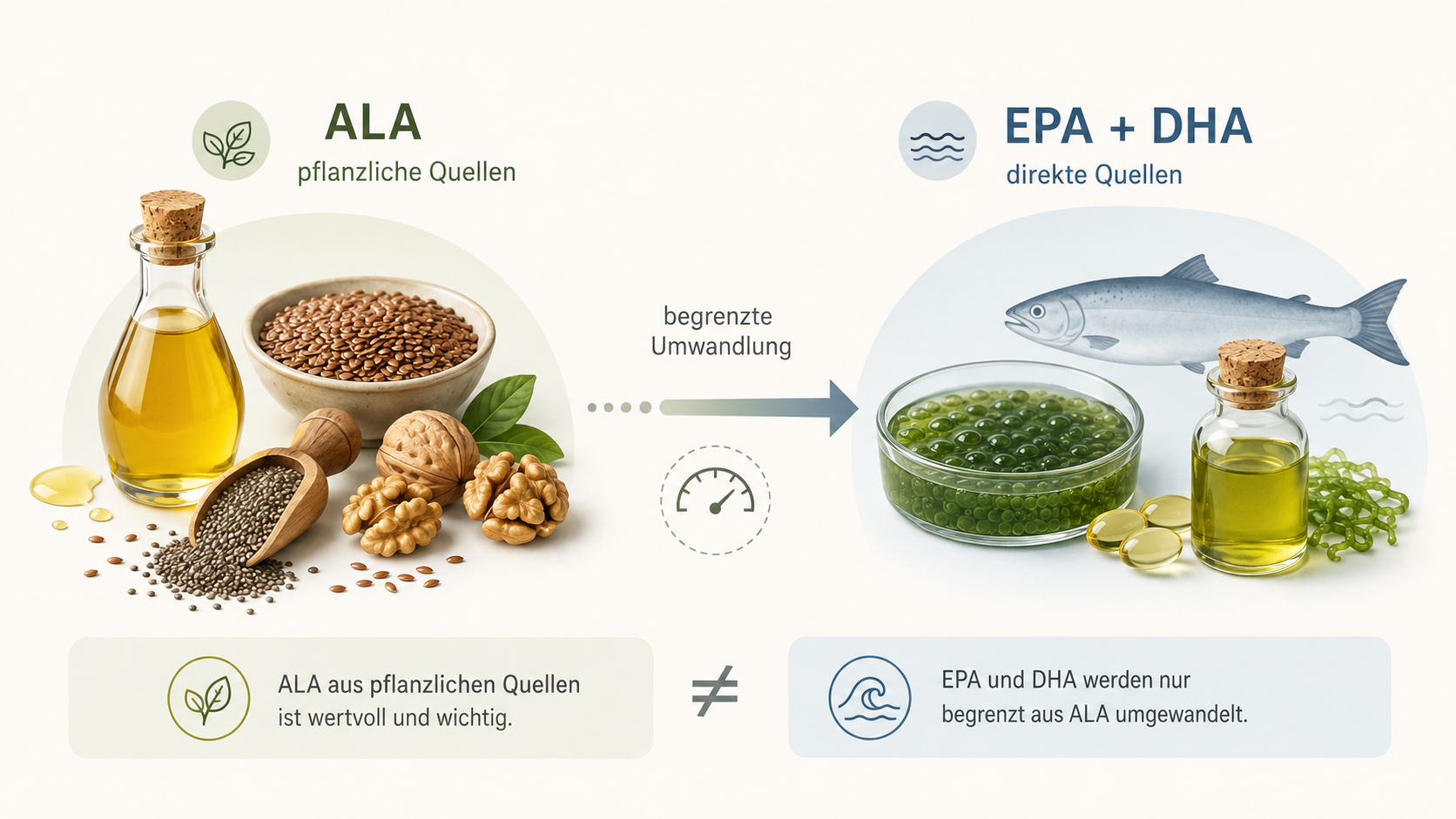 Vergleich pflanzlicher ALA-Quellen mit direkten Quellen für EPA und DHA
